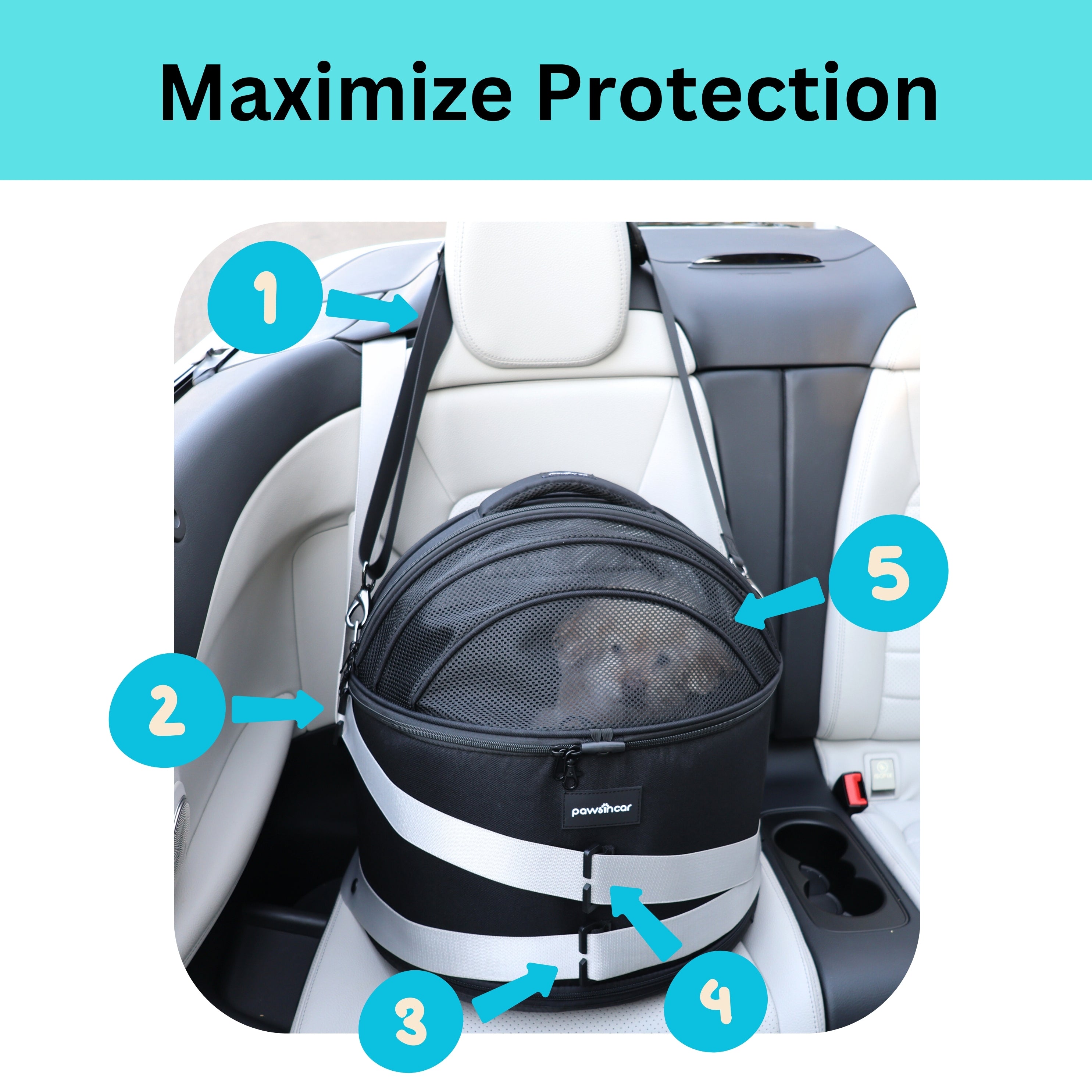 Pawsincar Crash-Tested Small Dog Car Seat