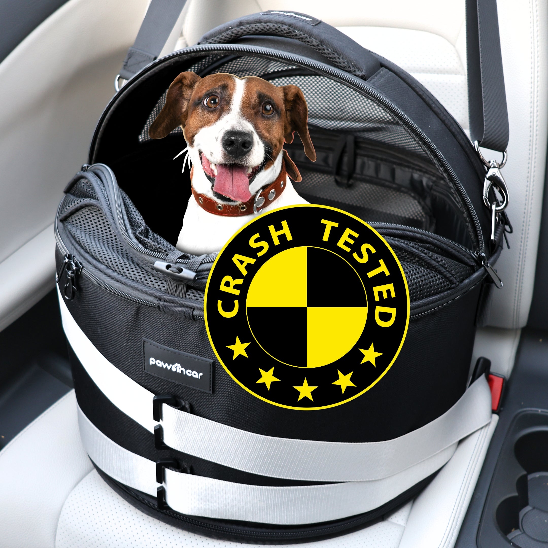 Pawsincar Crash-Tested Small Dog Car Seat