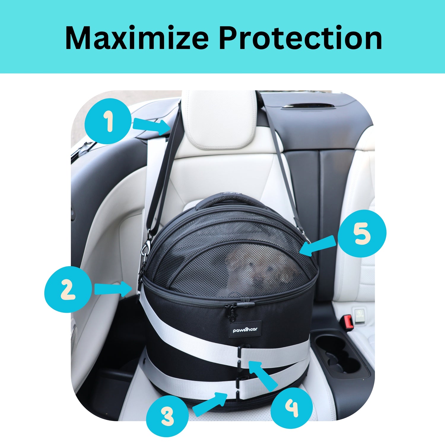 Pawsincar Crash-Tested Small Dog Car Seat
